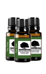 Northridge Oak - Tea Tree  3 pack - 100% Pure Essential Oil