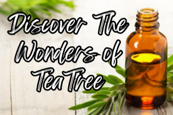 Highlighting the Wonders of Tea Tree Essential Oil