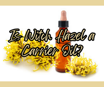 Is Witch Hazel a Carrier Oil?