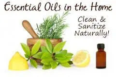 For the Home - Natural Cleaners for the home | Live the Life you Love Northridge Oak