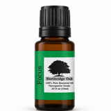 Focus Essential Oil Blend – 100% Pure, 10 mL Northridge Oak