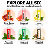 Beeswax Lip Balm Variety Pack Northridge Oak