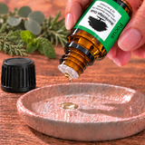 Focus Essential Oil Blend – 100% Pure, 10 mL Northridge Oak