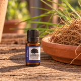 100% Pure Vetiver Essential Oil – 10 mL Northridge Oak