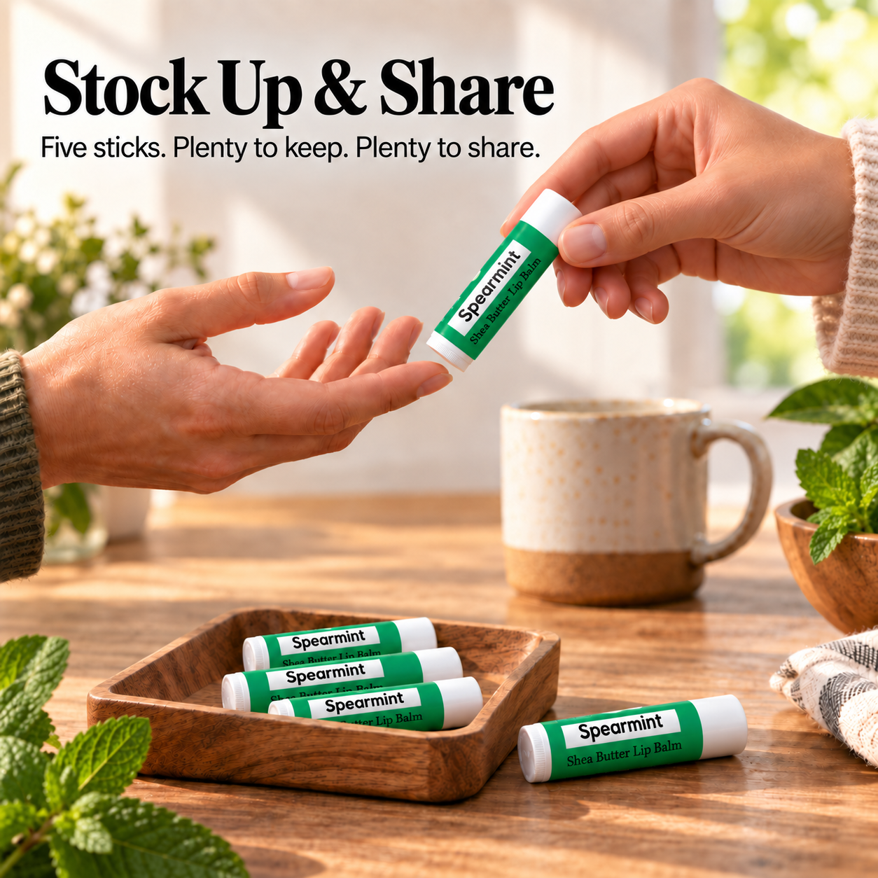 Beeswax Lip Balm – Spearmint 5 Pack Northridge Oak