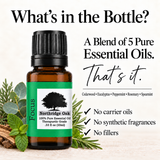 Focus Essential Oil Blend – 100% Pure, 10 mL Northridge Oak