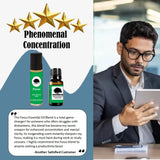 Northridge Oak - FOCUS combo with Roller Bottle - 100% Pure Essential Oil Blend Northridge Oak LLC