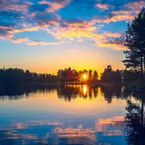 Midsummers Evening - 100% Soy Wax Scented Candle - Northridge Oak