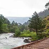 Mahogany Teakwood - 100% Soy Wax Scented Candle - Northridge Oak