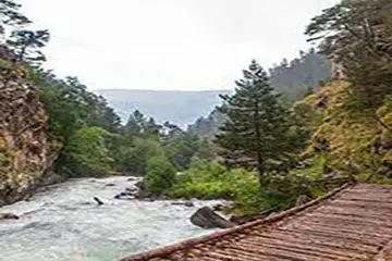 Mahogany Teakwood - 100% Soy Wax Scented Candle - Northridge Oak