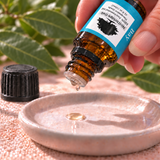 100% Pure Bay Laurel Essential Oil – 10 mL Northridge Oak