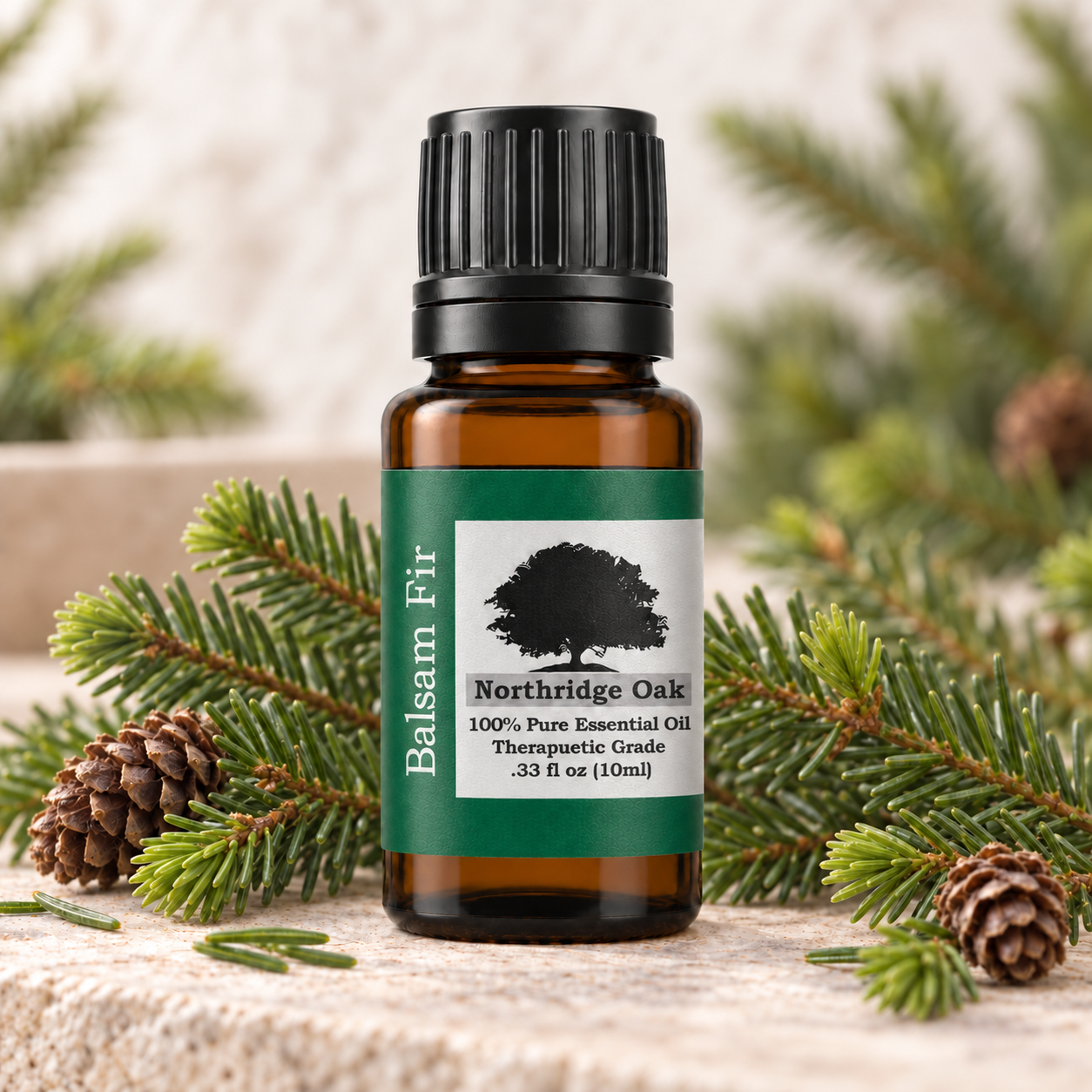 Northridge Oak Balsam Fir essential oil with fresh balsam fir branches and cones