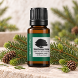Northridge Oak Balsam Fir essential oil with fresh balsam fir branches and cones
