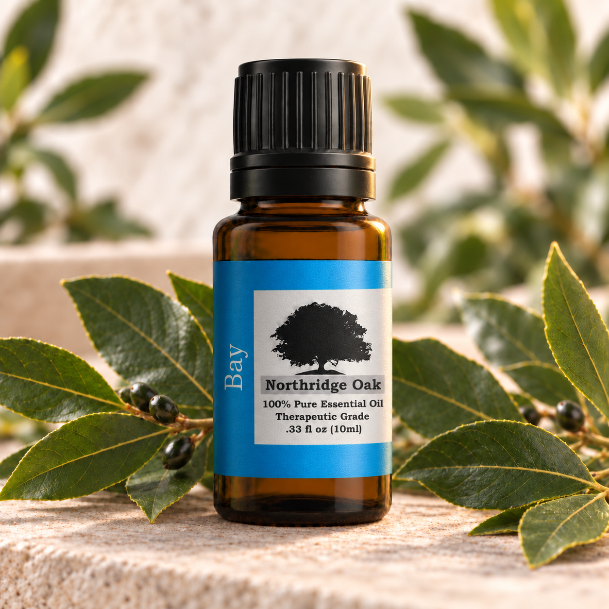 Northridge Oak Bay essential oil with fresh bay laurel leaves and berries