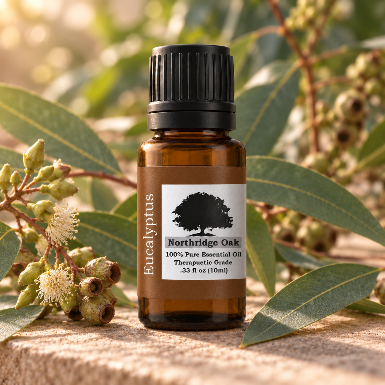 Northridge Oak Eucalyptus Essential Oil botanical product image