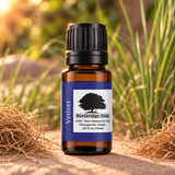 Northridge Oak Vetiver Essential Oil botanical product image