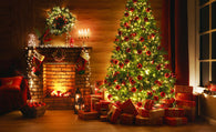 Christmas Tree - 100% Soy Wax Scented Candle - Northridge Oak