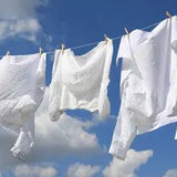 Clean Linen - 100% Soy Wax Scented Candle - Northridge Oak