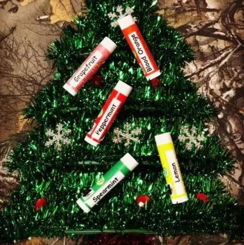 Beeswax Lip Balm - Assortment 6 Pack - Northridge Oak