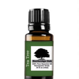 Northridge Oak - Tea Tree - 100% Pure Essential Oil - Northridge Oak