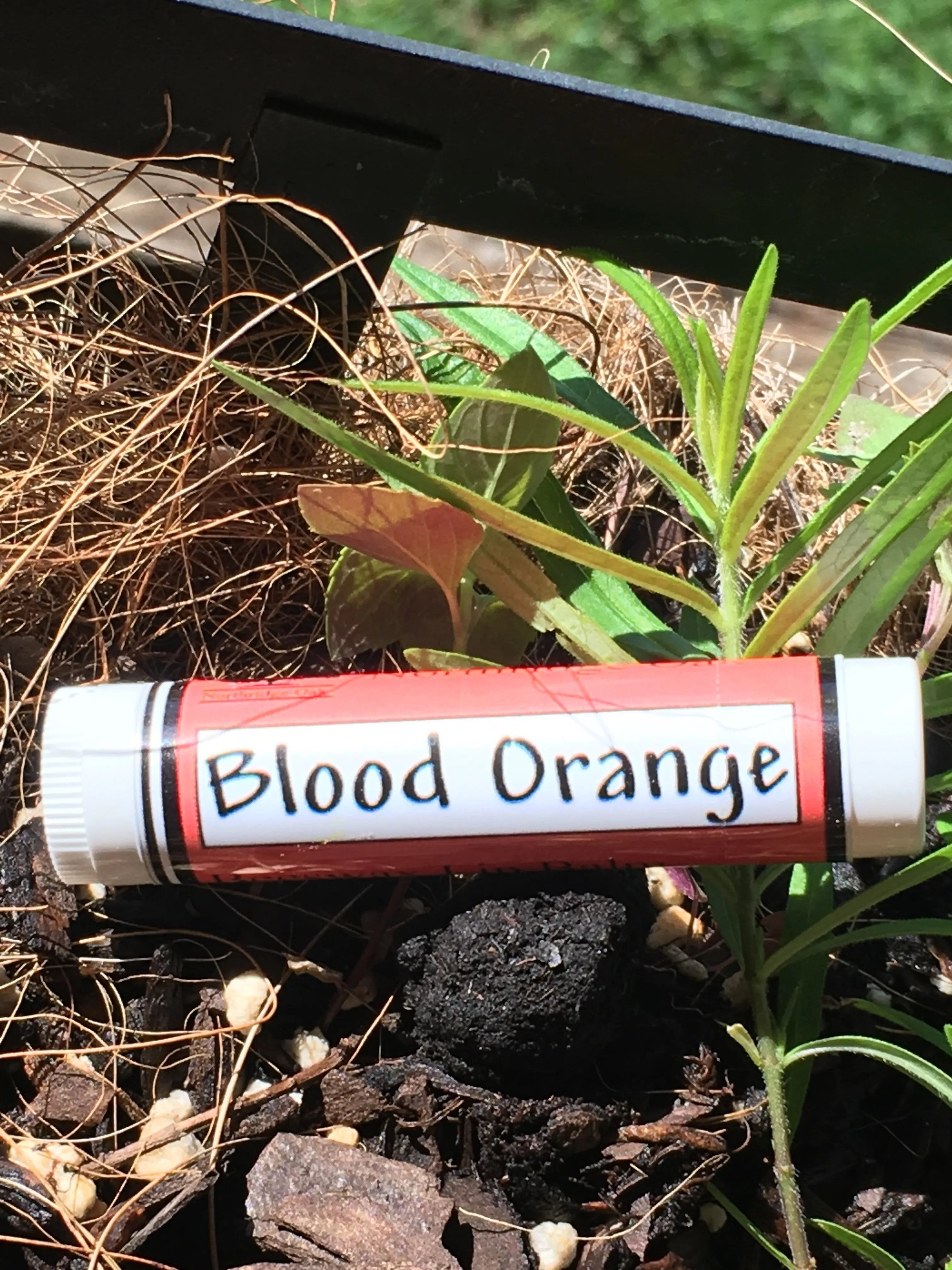 Beeswax Lip Balm - Blood Orange - Northridge Oak