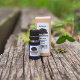 Northridge Oak - Release - 100% Pure Essential Oil Blend - Northridge Oak